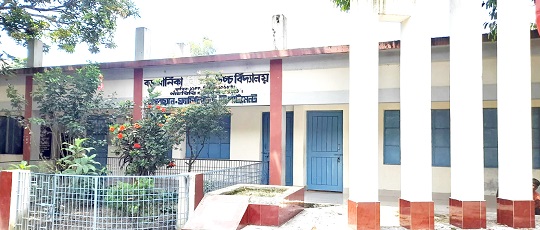 image-here